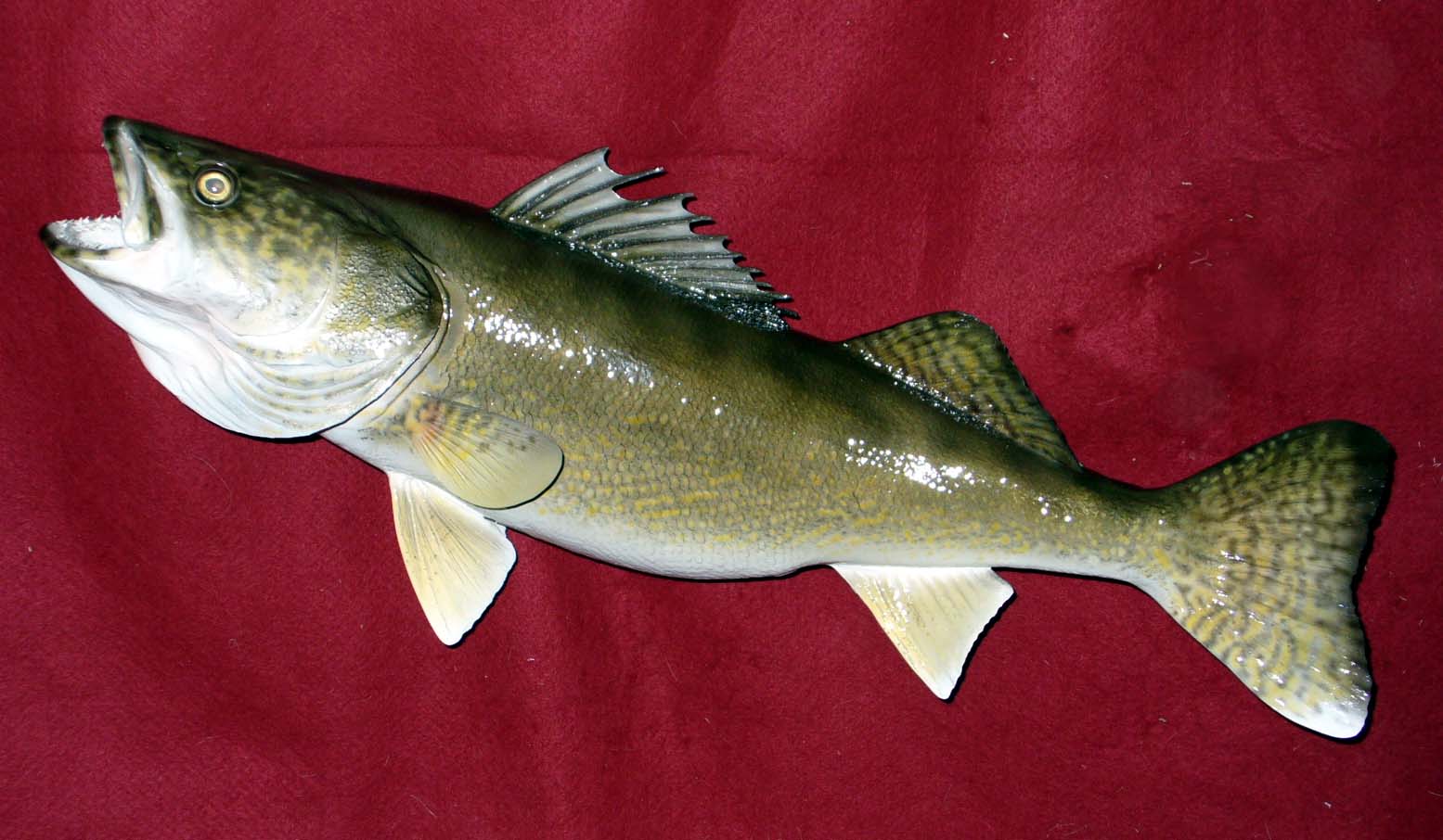 Fish replica